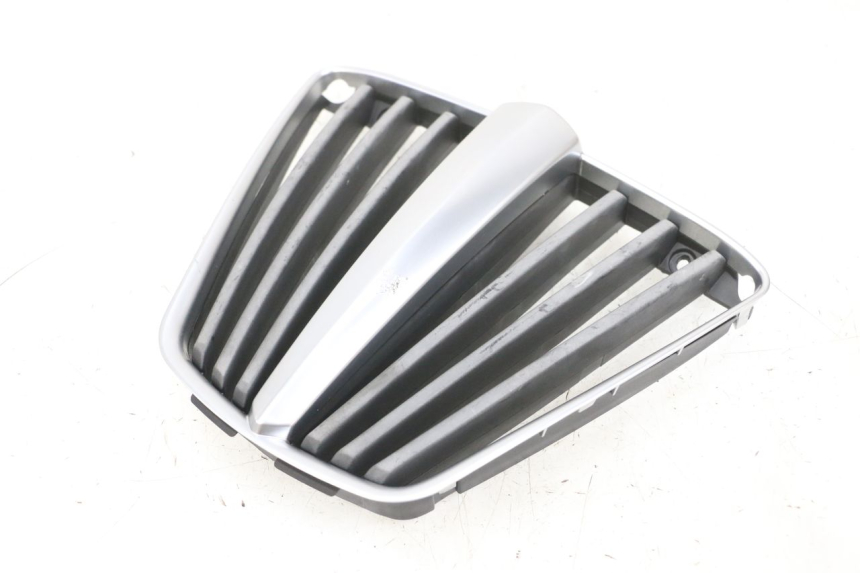 photo de GRILLE RADIATEUR PIAGGIO MP3 RL 250 (2007 - 2010) - Vue principale