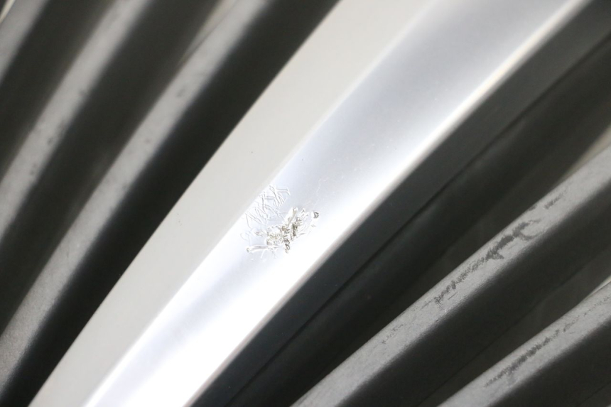 photo de GRILLE RADIATEUR PIAGGIO MP3 RL 250 (2007 - 2010) - Vue d’ensemble