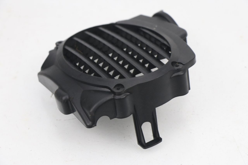 photo de GRILLE RADIATEUR HONDA NPS ZOOMER 50 (2004 - 2013) - Zoom état d’usage