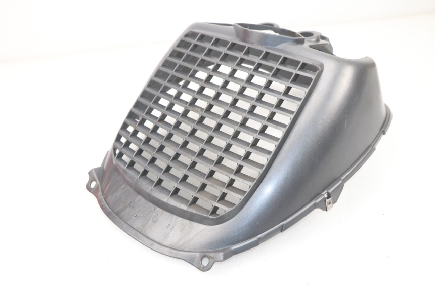 photo de GRILLE RADIATEUR PIAGGIO X9 EVOLUTION 250 (2003 - 2007)