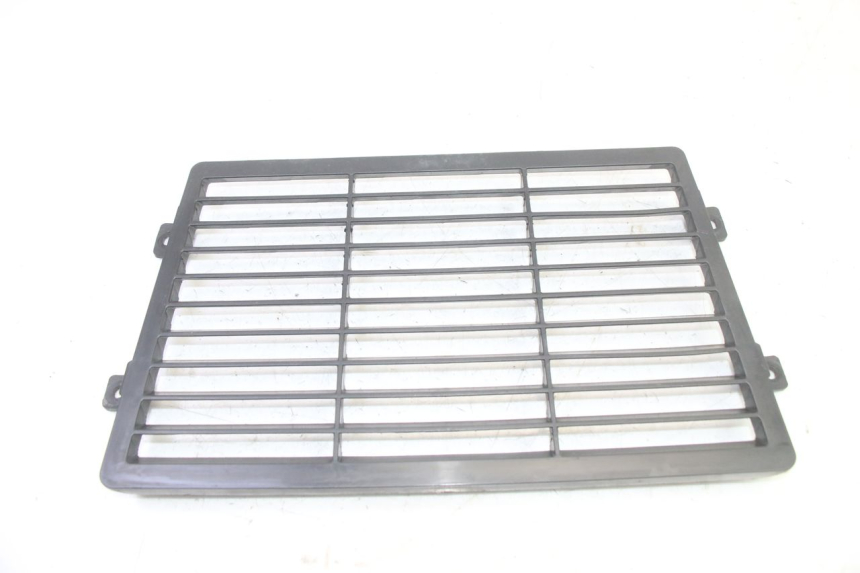 photo de GRILLE RADIATEUR MAG POWER R-STREET 50 (2016 - 2025)