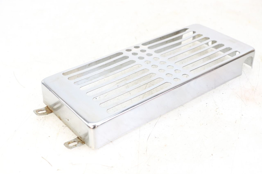 photo de GRILLE RADIATEUR REGAL RAPTOR RAXTER 2 125 (2007 - 2015)