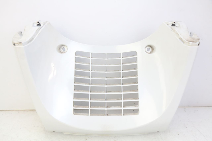 photo de GRILLE RADIATEUR DAELIM S3 125 (2010 - 2017)