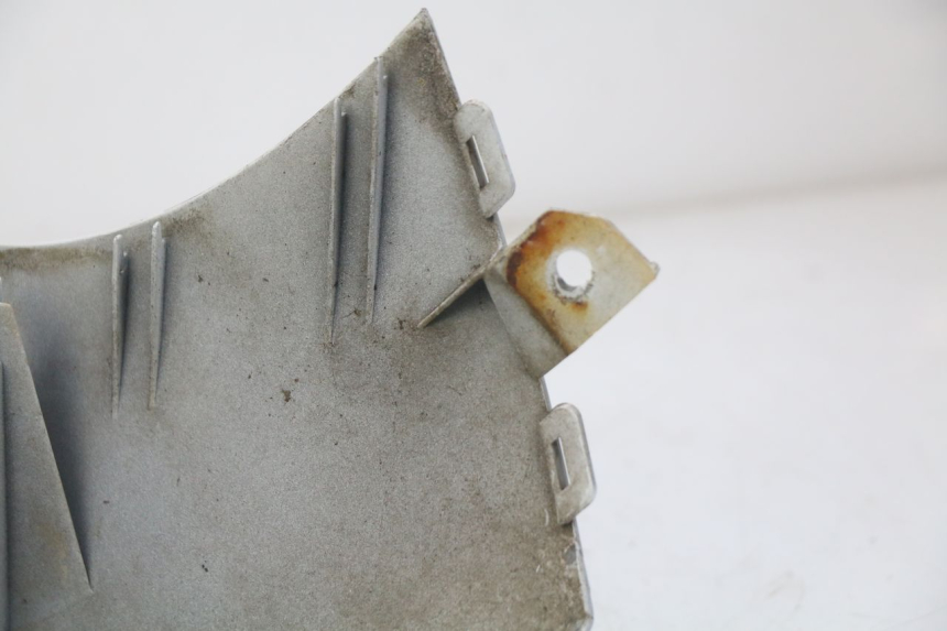 photo de GRILLE RADIATEUR DAELIM S3 125 (2010 - 2017)