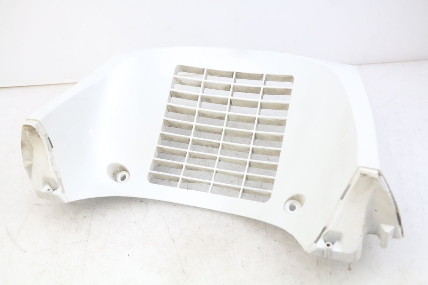 photo de GRILLE RADIATEUR DAELIM S3 125 (2010 - 2017)