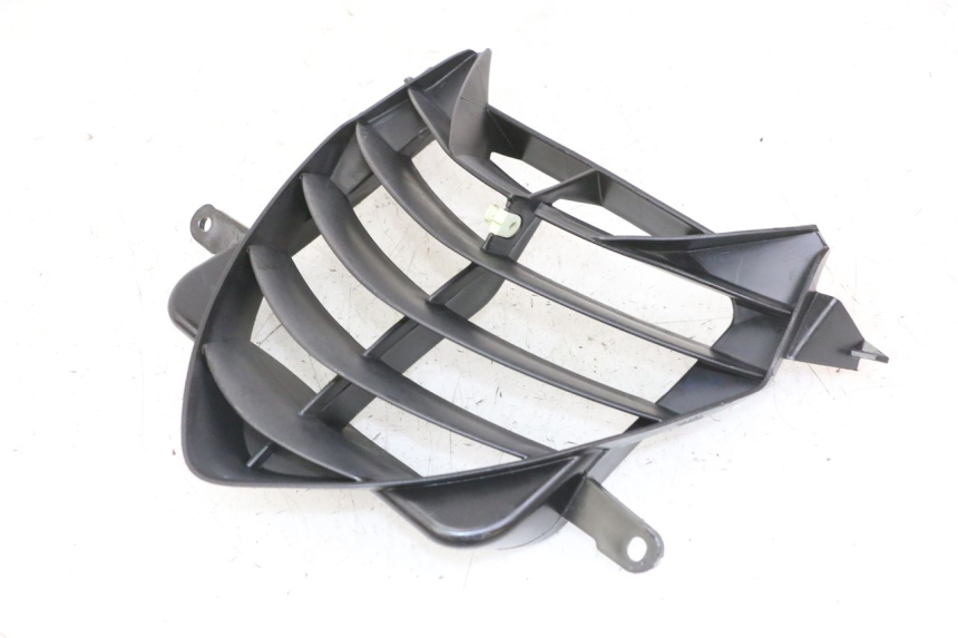 photo de GRILLE RADIATEUR PEUGEOT SPEEDFIGHT 2 LC 50 (2000 - 2009)