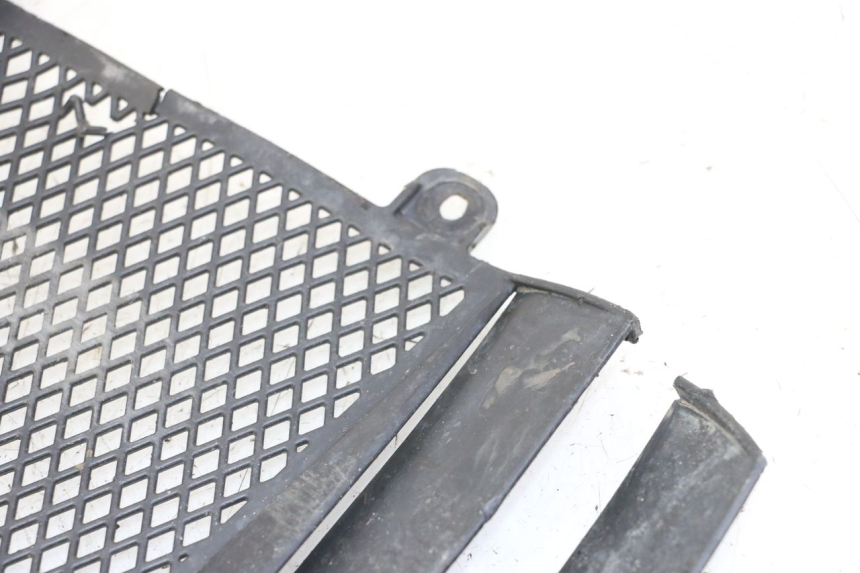 photo de GRILLE RADIATEUR KTM SUPERENDURO R 950 (2005 - 2009)