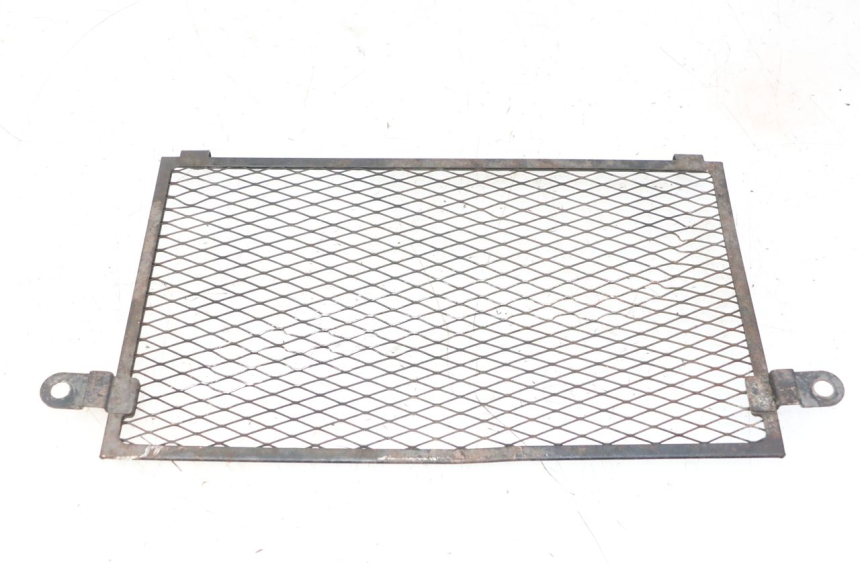 photo de GRILLE RADIATEUR YAMAHA TDM ABS 900 (2002 - 2014)