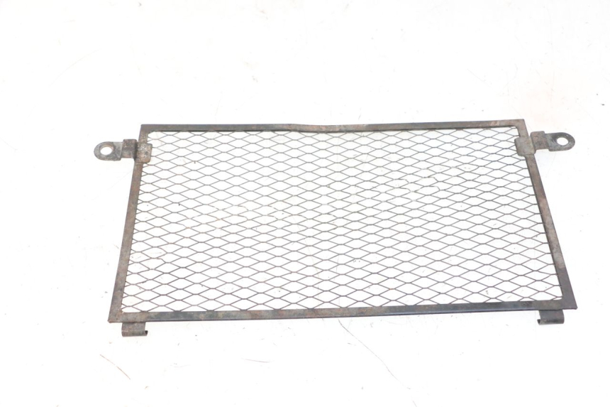 photo de GRILLE RADIATEUR YAMAHA TDM ABS 900 (2002 - 2014)