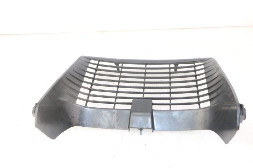 photo de GRILLE RADIATEUR YAMAHA TDR DELTABOX 125 (1993 - 2003)