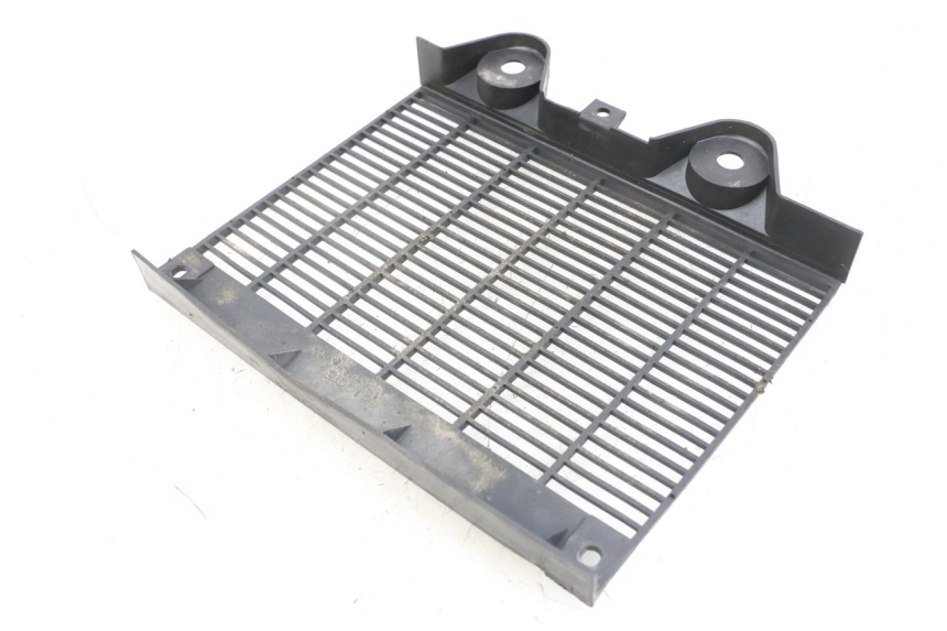 photo de GRILLE RADIATEUR TRIUMPH SPEED TRIPLE T301 900 (1994 - 1996)