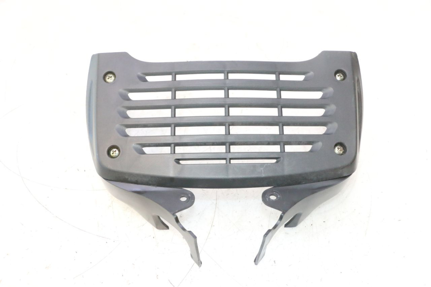 photo de GRILLE RADIATEUR DAELIM VJ ROADWIN 125 (2004 - 2007) - Vue principale