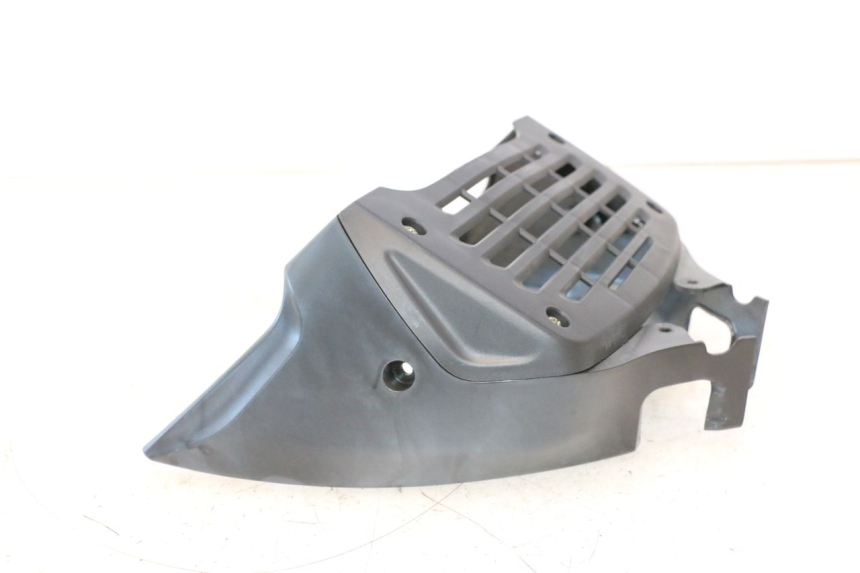 photo de GRILLE RADIATEUR DAELIM VJ ROADWIN 125 (2004 - 2007) - Détail de la pièce