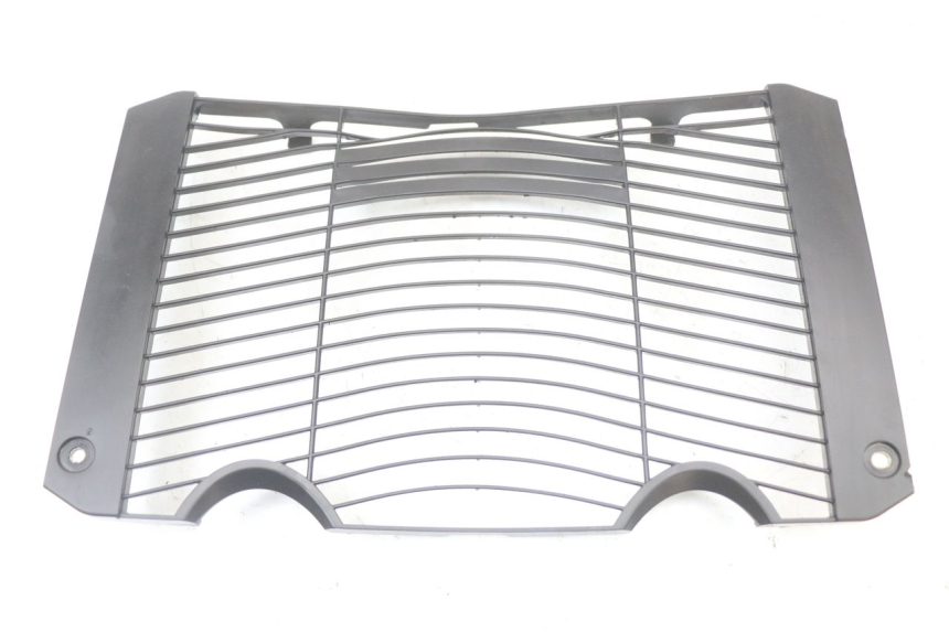 photo de GRILLE RADIATEUR YAMAHA FZ1 FAZER 1000 (2007 - 2009)