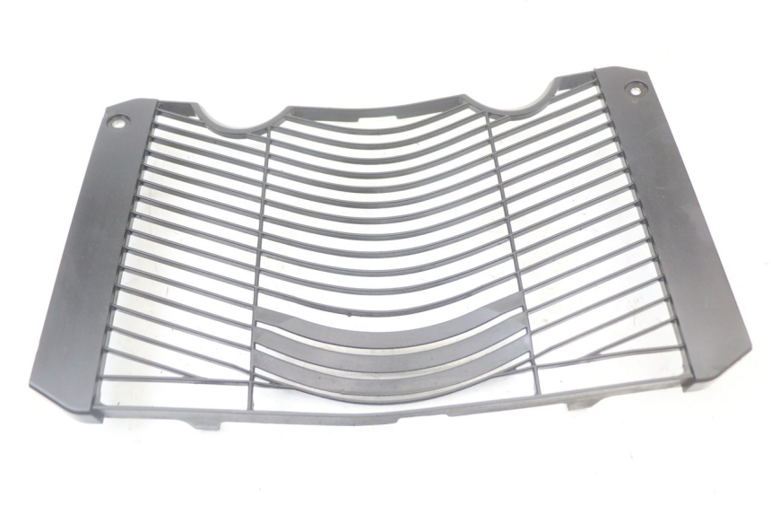 photo de GRILLE RADIATEUR YAMAHA FZ1 FAZER 1000 (2007 - 2009)