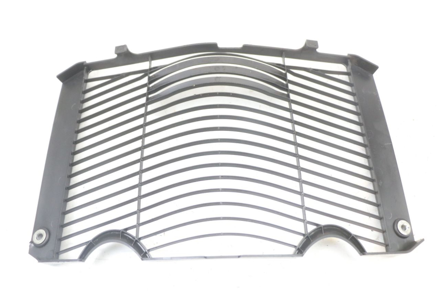 photo de GRILLE RADIATEUR YAMAHA FZ1 FAZER 1000 (2007 - 2009)