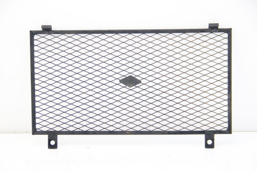 photo de GRILLE RADIATEUR YAMAHA FZS FAZER 600 (2001 - 2003)
