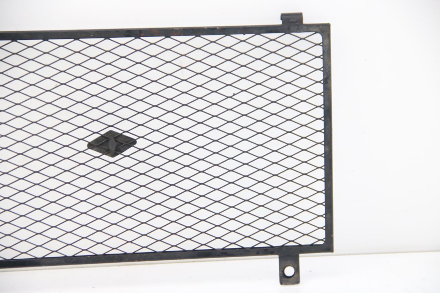 photo de GRILLE RADIATEUR YAMAHA FZS FAZER 600 (2001 - 2003)