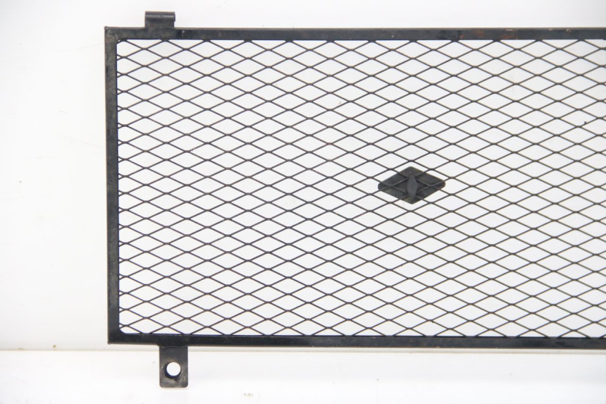 photo de GRILLE RADIATEUR YAMAHA FZS FAZER 600 (2001 - 2003)