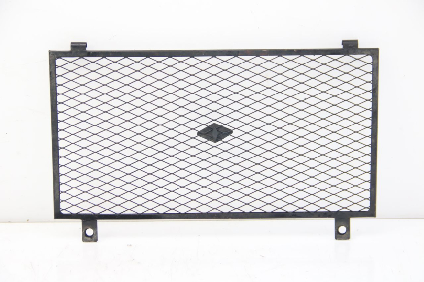 photo de GRILLE RADIATEUR YAMAHA FZS FAZER 600 (2001 - 2003)