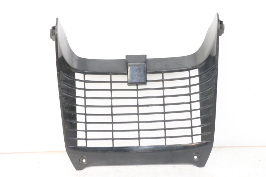 photo de GRILLE RADIATEUR YAMAHA TDR DELTABOX 125 (1993 - 2003)