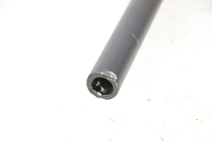 photo de GUIDON DUALTRON AMINIA 1