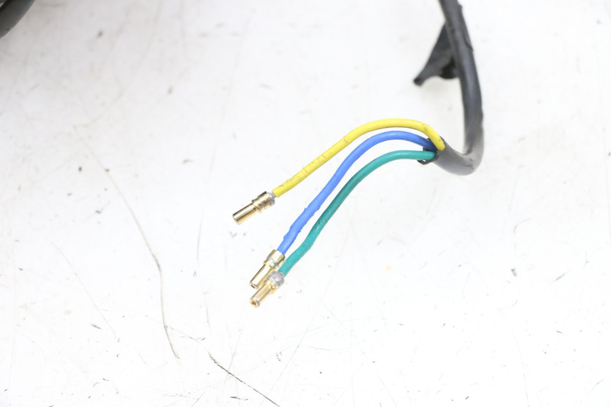 photo de JANTE AVANT ET PNEU DUALTRON VICTOR LIMITED 1