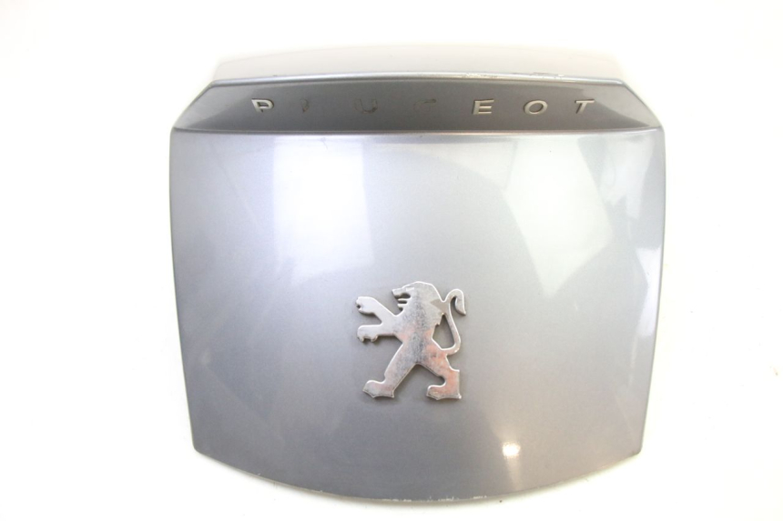 photo de JONCTION CARENAGE ARRIERE PEUGEOT SATELIS 250 (2006 - 2012)