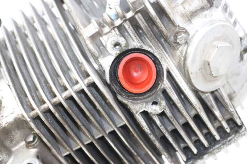 photo de MOTEUR ASTOR ORCAL 125 (2015 - 2017)