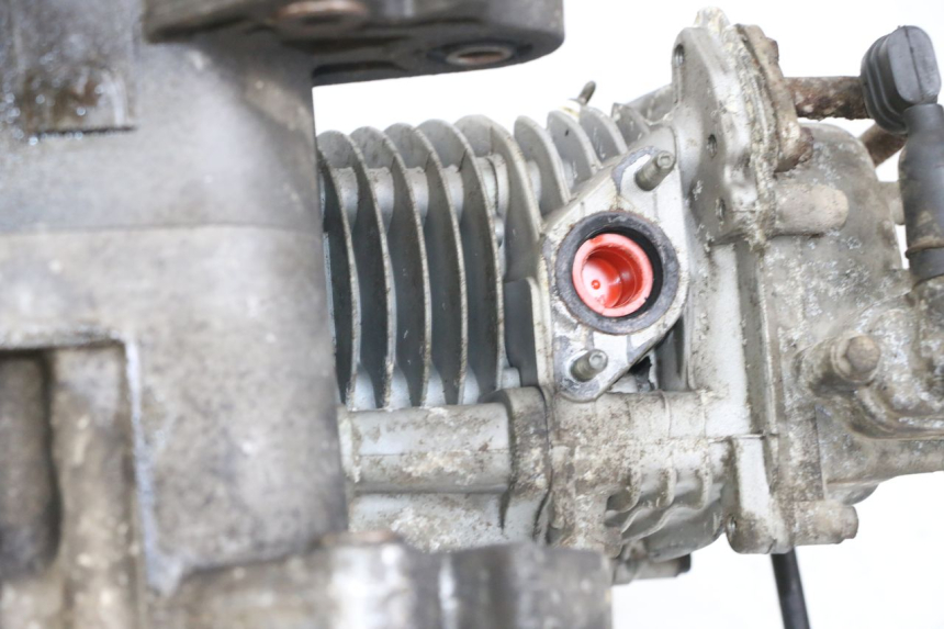 photo de ENGINE BEELINE VELOCE 4T 50 (2011 - 2020)