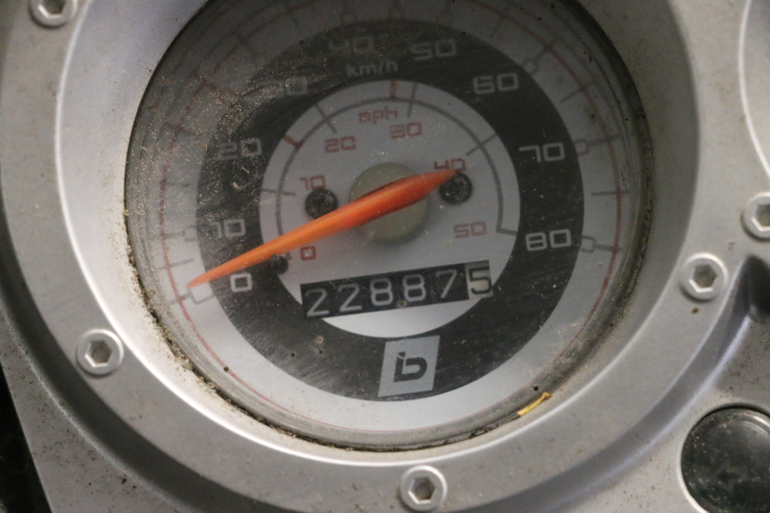 photo de ENGINE BEELINE VELOCE 4T 50 (2011 - 2020)