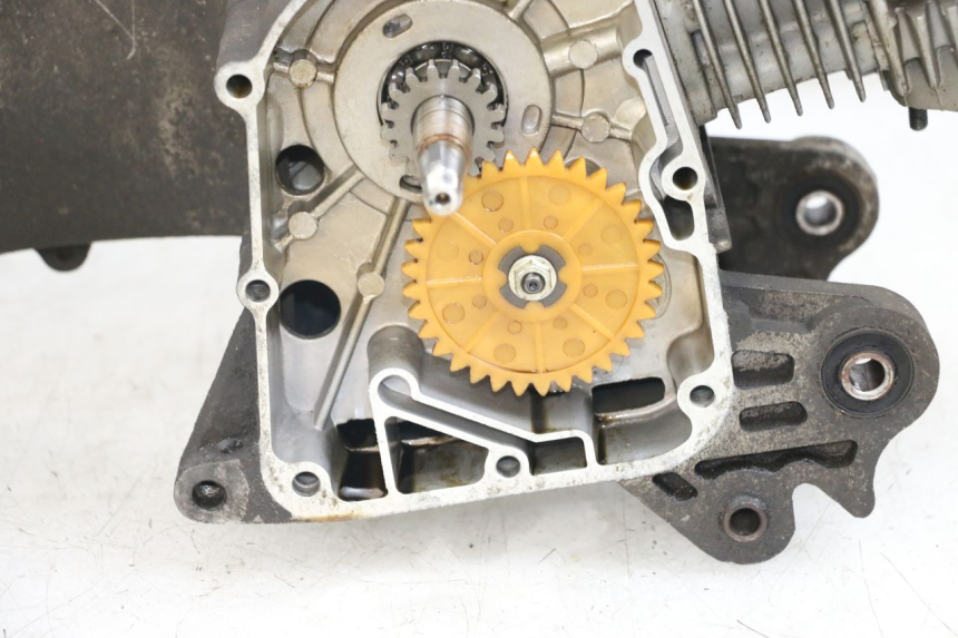 photo de ENGINE BEELINE VELOCE 4T 50 (2011 - 2020)