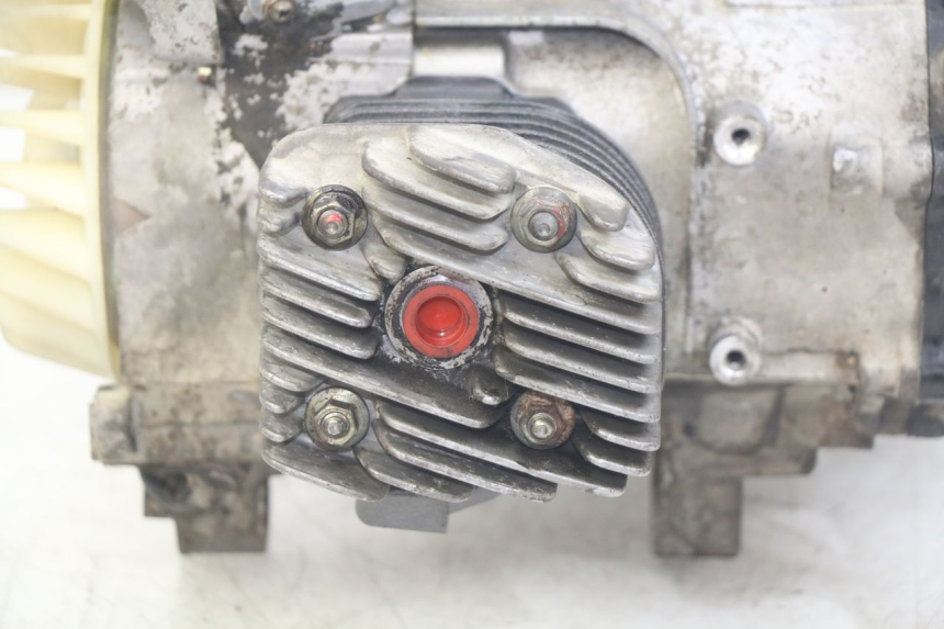 photo de MOTEUR PGO BIG MAX 50 (2001 - 2009) - Focus structure