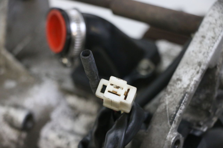 photo de MOTEUR PEUGEOT CITYSTAR 50 (2013 - 2017)