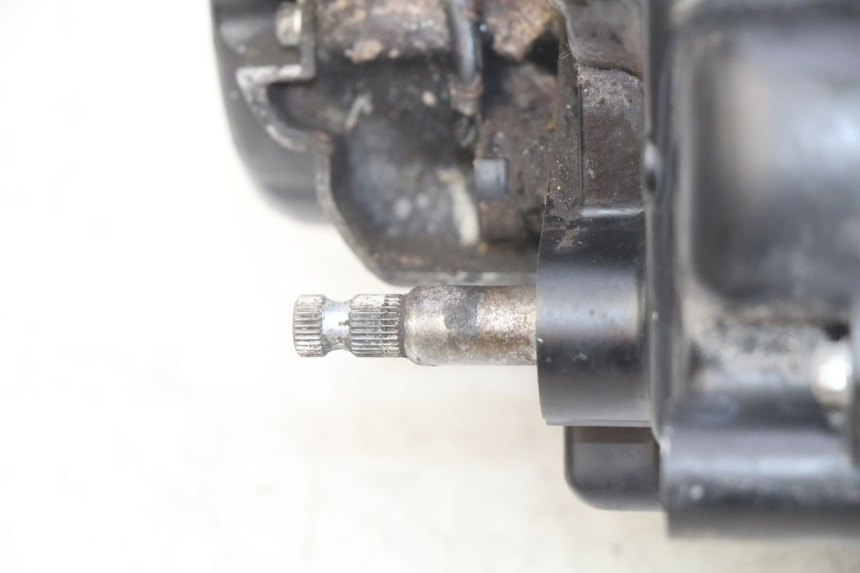 photo de MOTEUR DAELIM VL DAYSTAR 125 (2000 - 2011)
