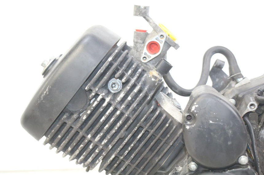 photo de MOTEUR DAELIM VL DAYSTAR 125 (2000 - 2011)