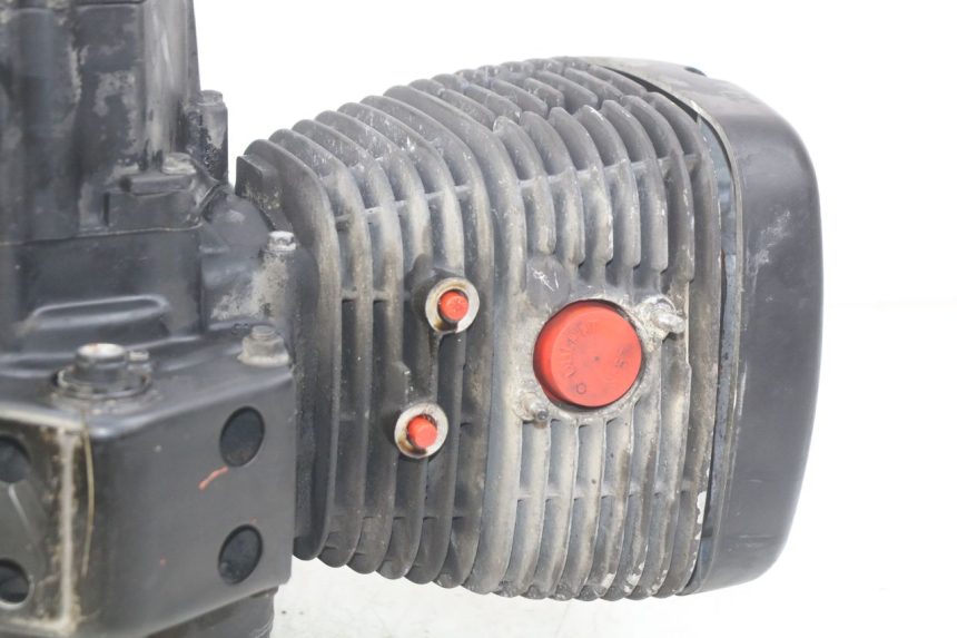 photo de MOTEUR DAELIM VL DAYSTAR 125 (2000 - 2011)