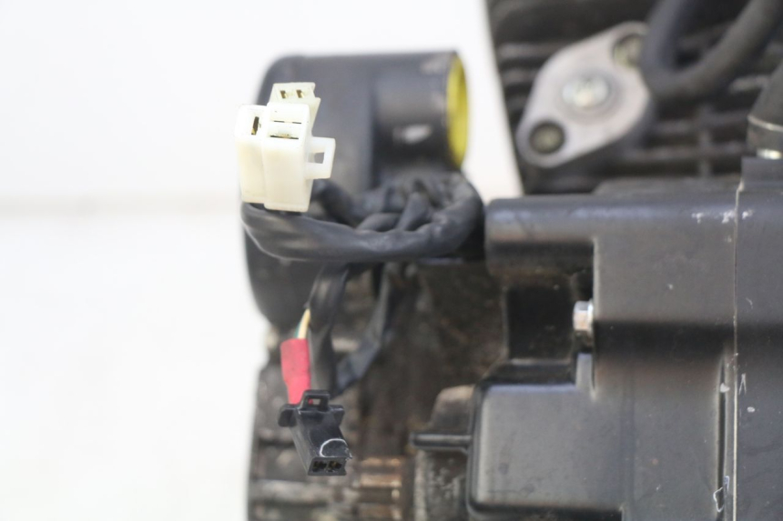 photo de MOTEUR DAELIM VL DAYSTAR 125 (2000 - 2011)