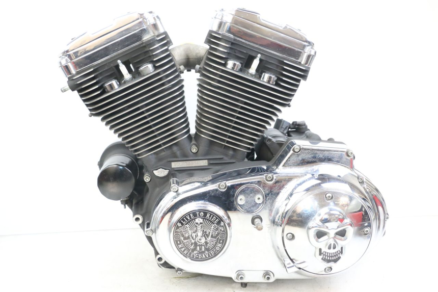 photo de MOTEUR HARLEY DAVIDSON SPORTSTER XL CUSTOM 1200 (2003 - 2004)