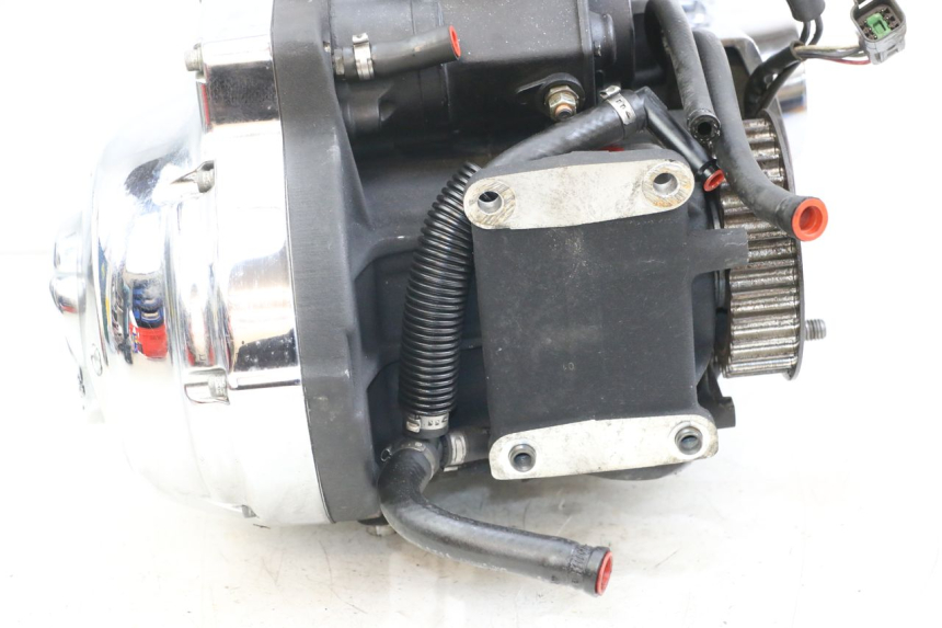 photo de MOTEUR HARLEY DAVIDSON SPORTSTER XL CUSTOM 1200 (2003 - 2004)