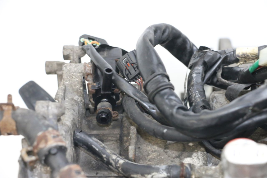 photo de MOTEUR HONDA NHX LEAD 110 (2008 - 2010)