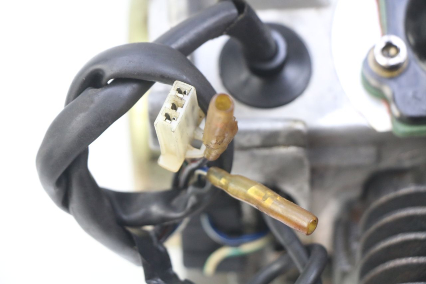 photo de MOTEUR IMF INDUSTRIE PACH 2T 50 (2009 - 2018)