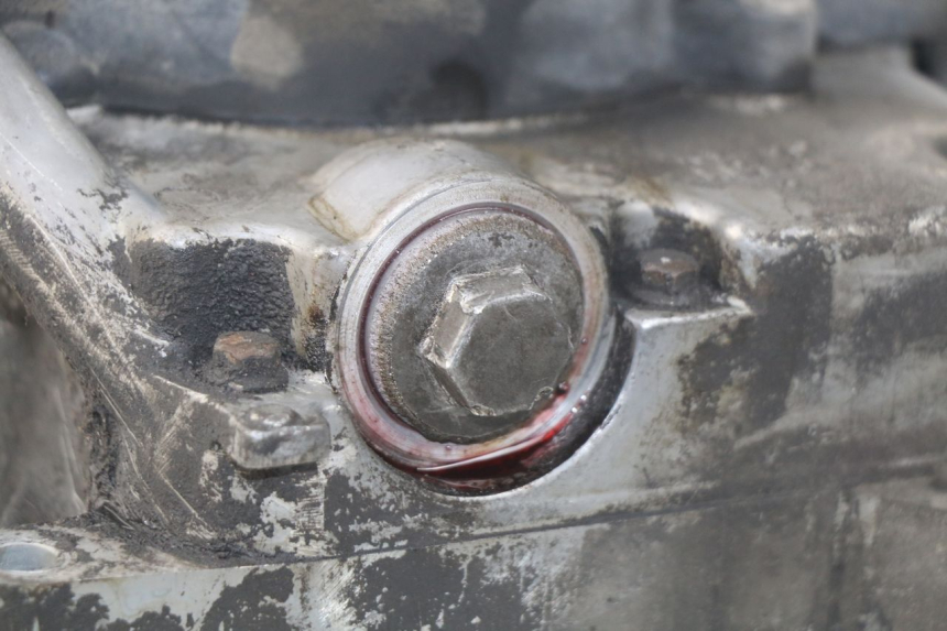 photo de MOTEUR KYMCO LIKE 4T 50 (2009 - 2018)