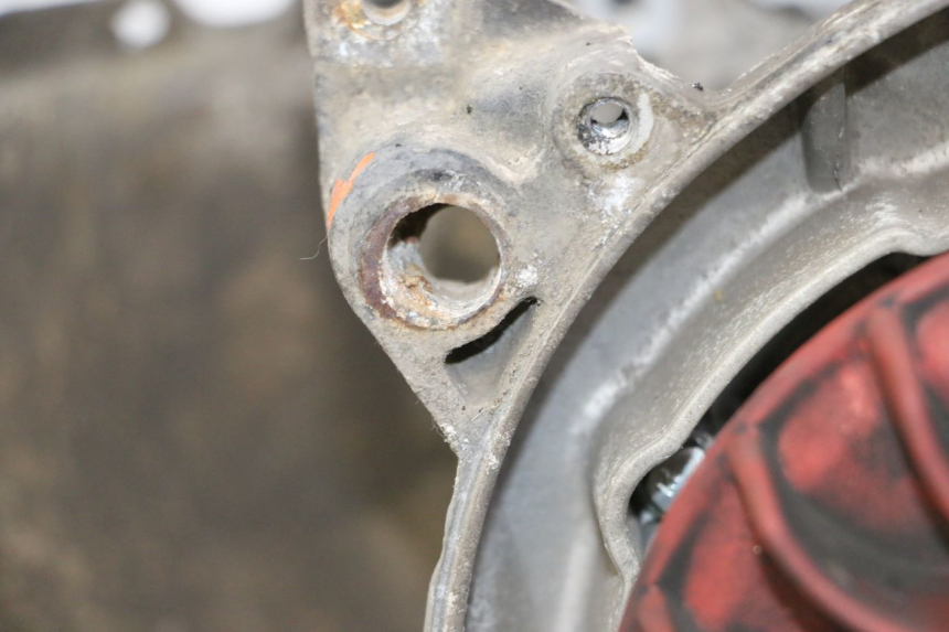 photo de MOTEUR PIAGGIO LIBERTY 4T 50 (2009 - 2015)