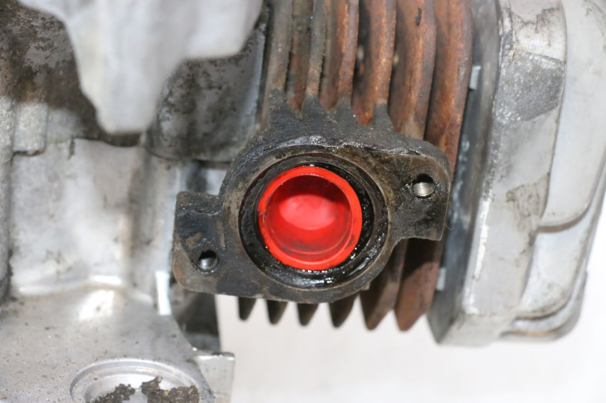 photo de MOTEUR PEUGEOT LUDIX PRO 2T 50 (2010 - 2017) - État de surface