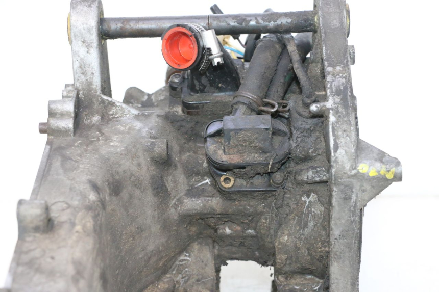 photo de MOTEUR PEUGEOT LUDIX SNAKE 2T 50 (2004 - 2014) - Vue produit