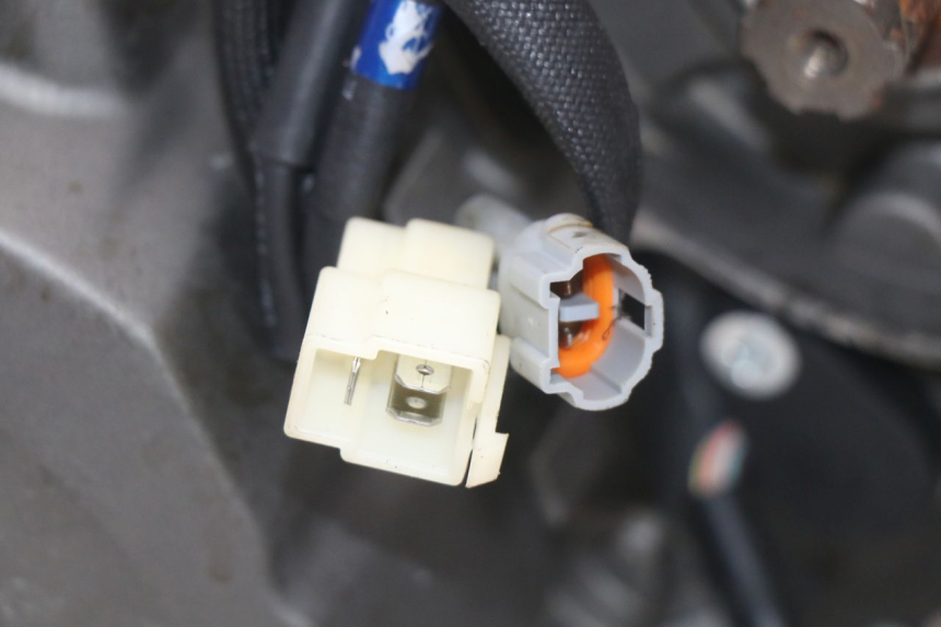 photo de MOTEUR MASAI SCRAMBLER SPORT 125 (2021 - 2025)