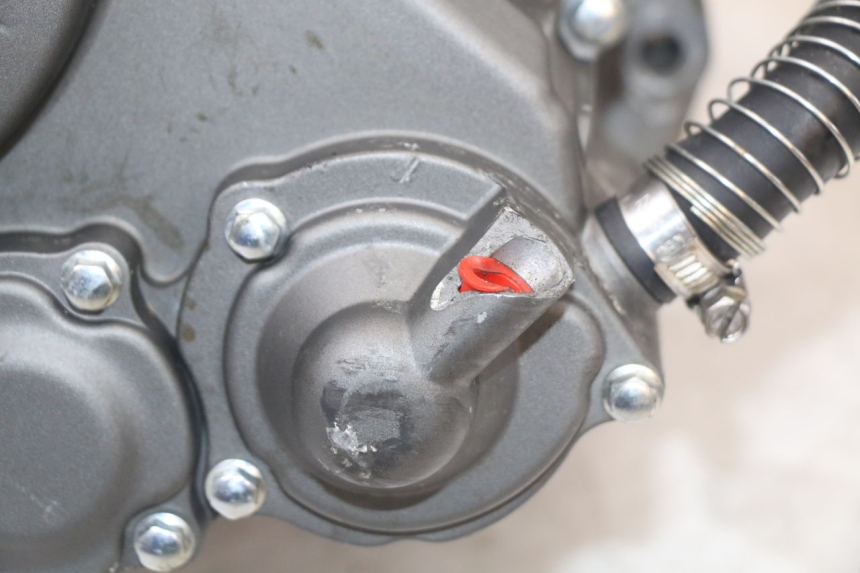 photo de MOTEUR MASAI SCRAMBLER SPORT 125 (2021 - 2025)