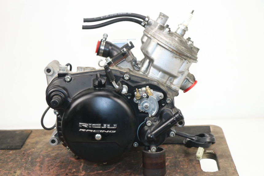 photo de MOTEUR RIEJU MRT 50 (2018 - 2021)