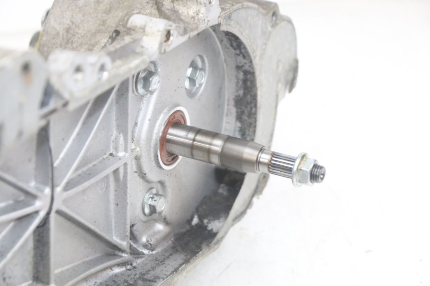 photo de MOTEUR JM MOTORS OLDIES RS 4T 50 (2021 - 2024)